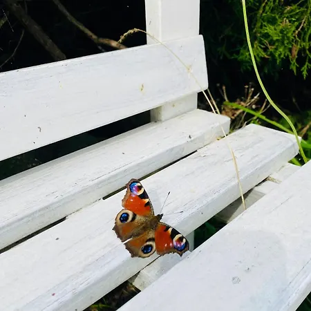 Idyllic Thatched With Sea View *