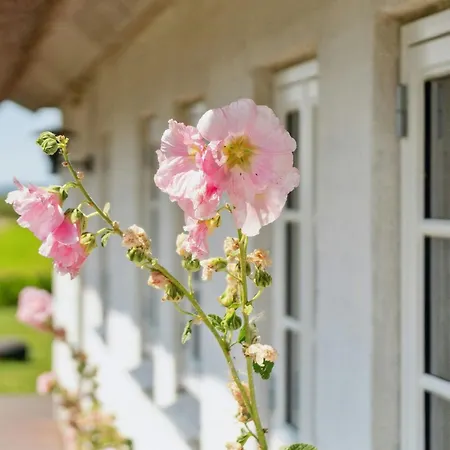 Idyllic Thatched With Sea View Holiday home *