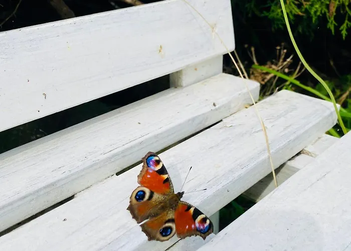Idyllic Thatched With Sea View *