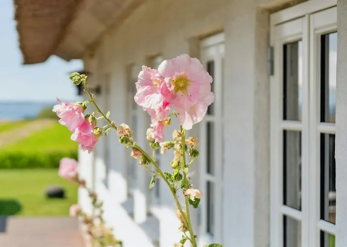 Idyllic Thatched With Sea View Holiday home *