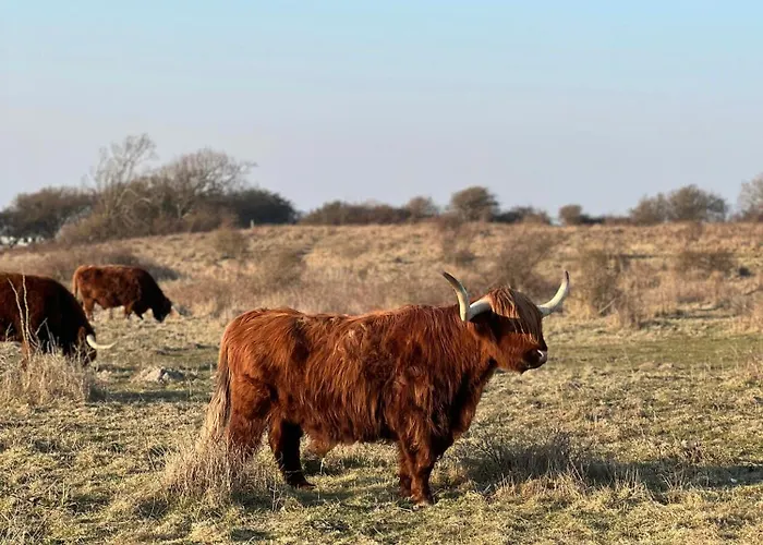 Idyllic Thatched With Sea View *
